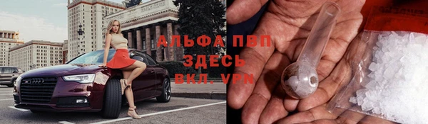 дмт Аркадак